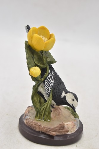 The country bird collection - country,
