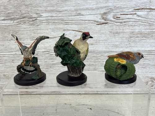 The country bird - 3,