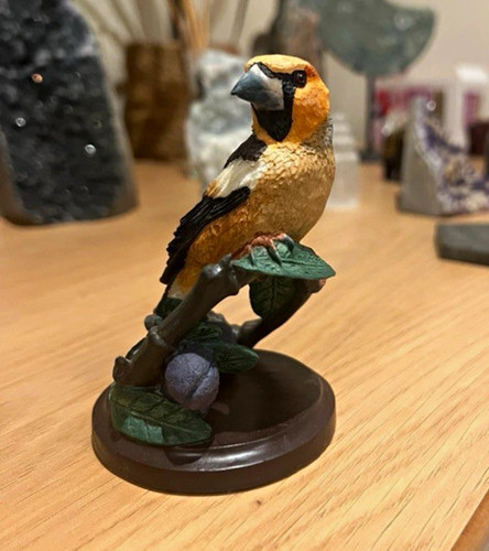 The country bird collection - bird,