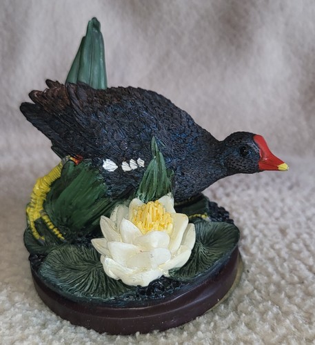 The country bird collection - country,