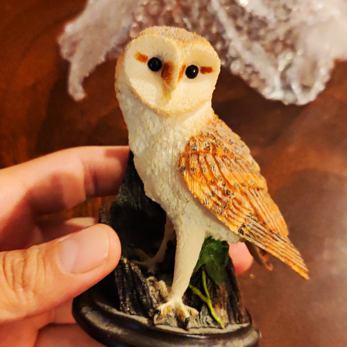 The country bird collection - bird,