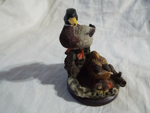 The country bird - country,