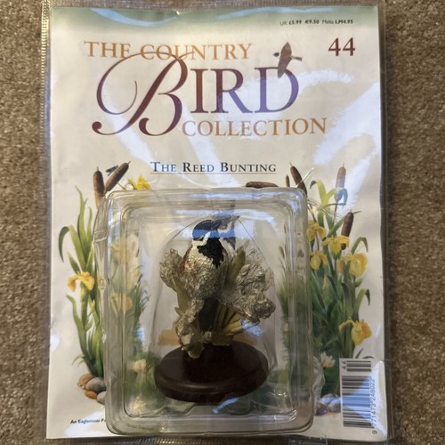 Bird collection the country - bird,