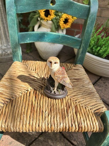 The country bird collection - the,