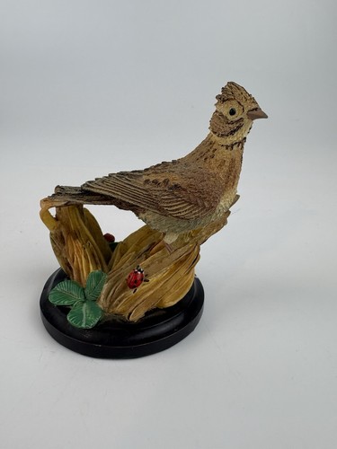 The country bird - bird, collection