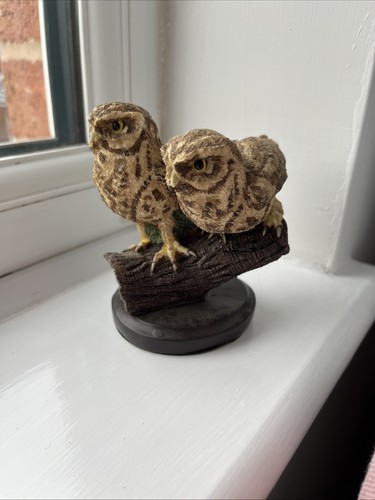 Little owl the country bird - the,