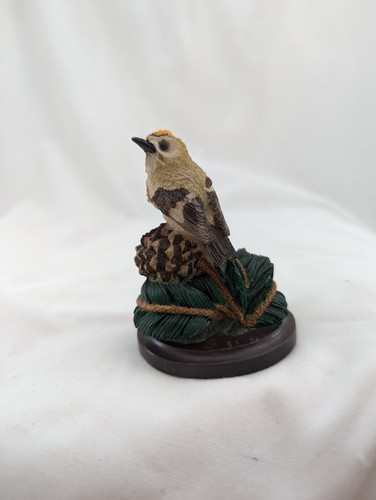 Goldcrest oiseaux the country - goldcrest,