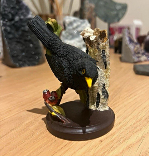 The country bird - country,