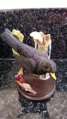 Vintage the country bird - the,