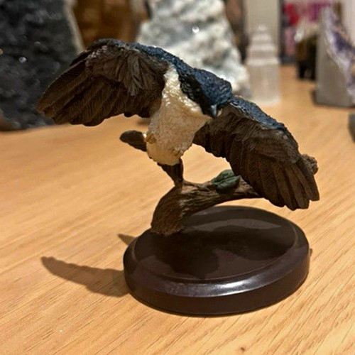 The country bird - country, collection