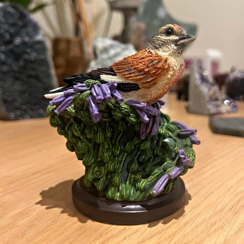 The country bird collection - the,