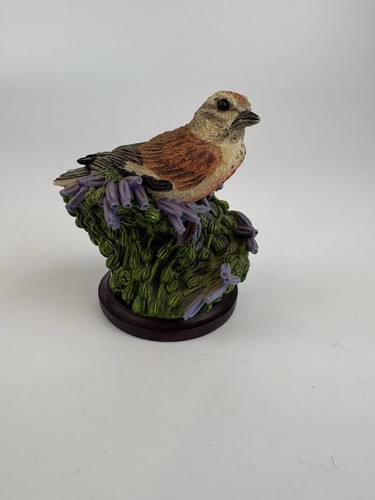 The country bird collection - country,