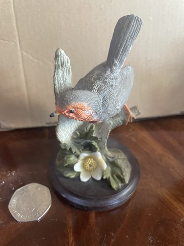 Andy pearce the robin oiseaux - pearce,