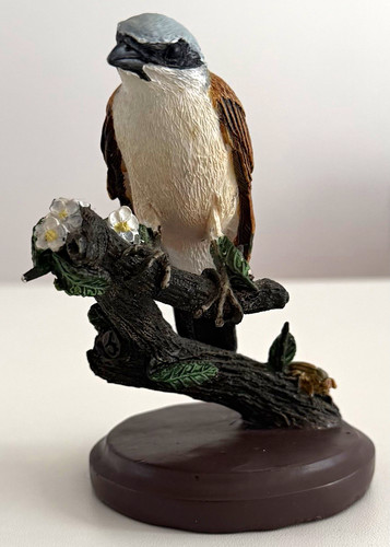 The country bird collection - the,