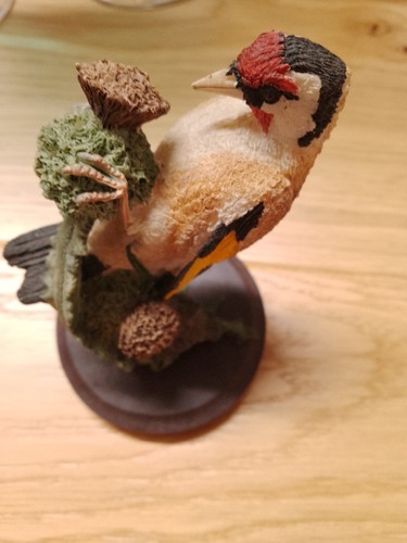Andy pearce goldfinch oiseaux - goldfinch,