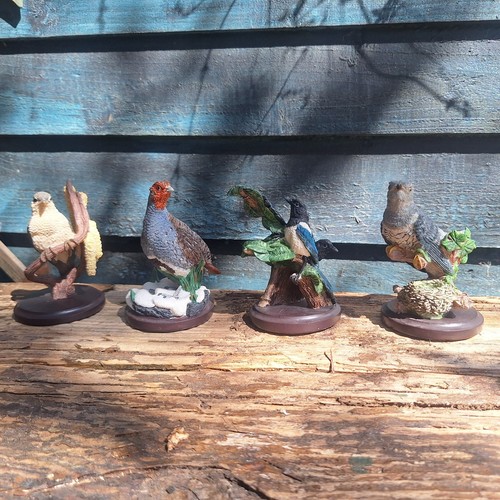 The country bird - country, collection