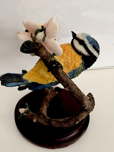 The blue tit country - country, bird
