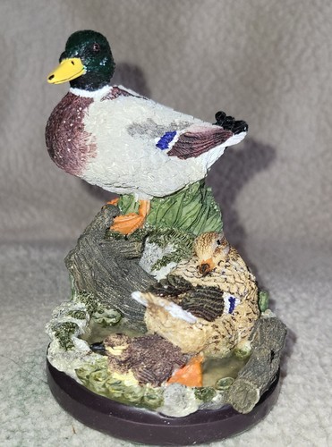 The country bird collection - country,