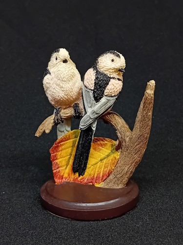 Andy pearce the country bird - the,