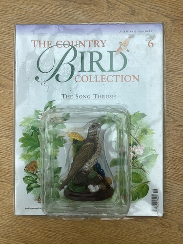 Vvintage song thrush - vvintage,