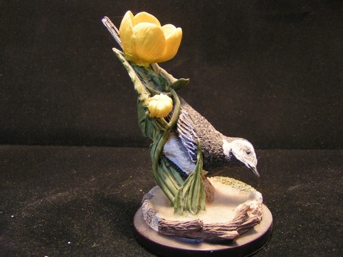 The country bird collection - the,