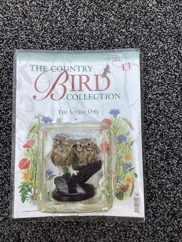 Little owl the country bird - little,
