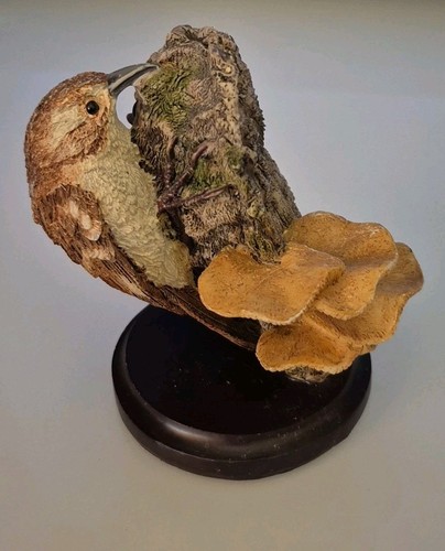 The country bird - the, collection