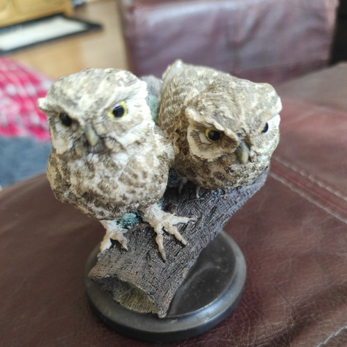 The country bird collection - country,