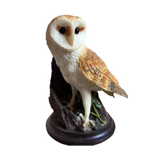 Barn owl the - owl, bird
