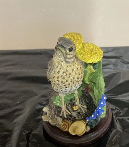 The country bird - country,