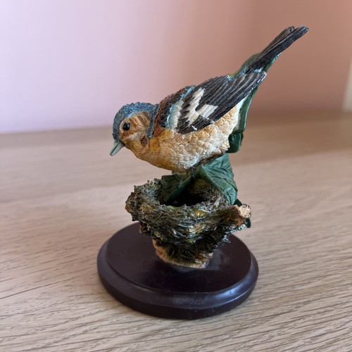 Chaffinch the country bird - chaffinch,