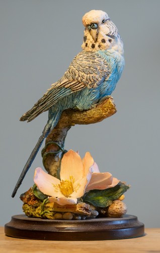 Country artists birds - country,