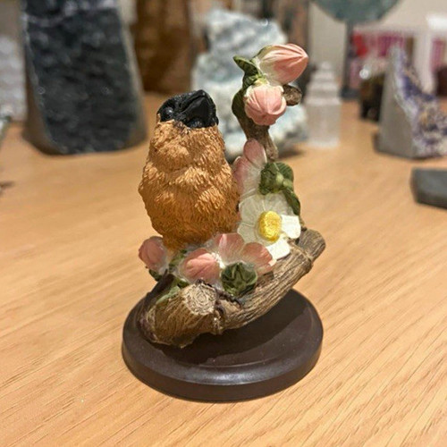 The country bird collection - the,