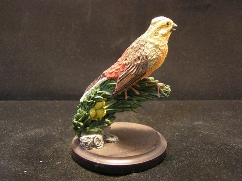 The country bird collection - country,