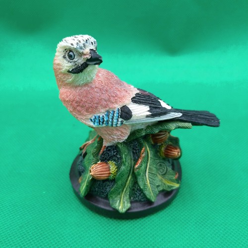The country bird collection - bird,